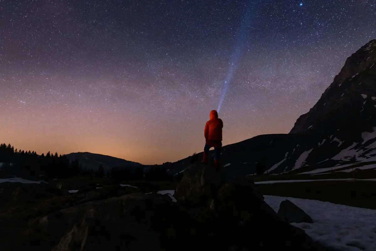 Gdzie szukać nowych zysków?